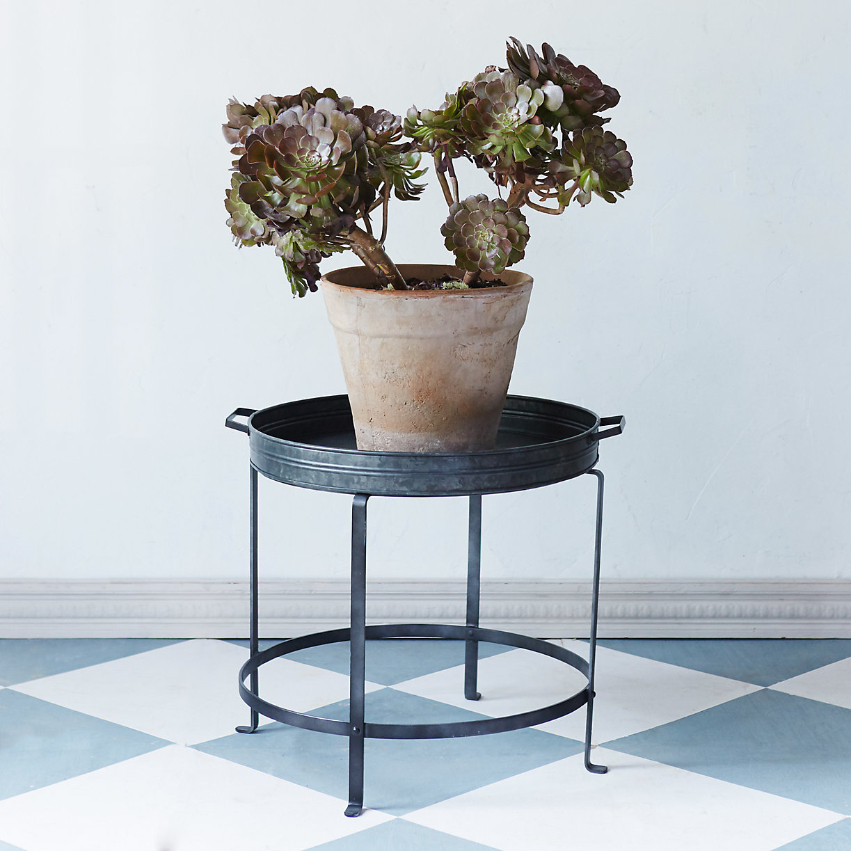 Iron Tray Plant Stand Large Terrain